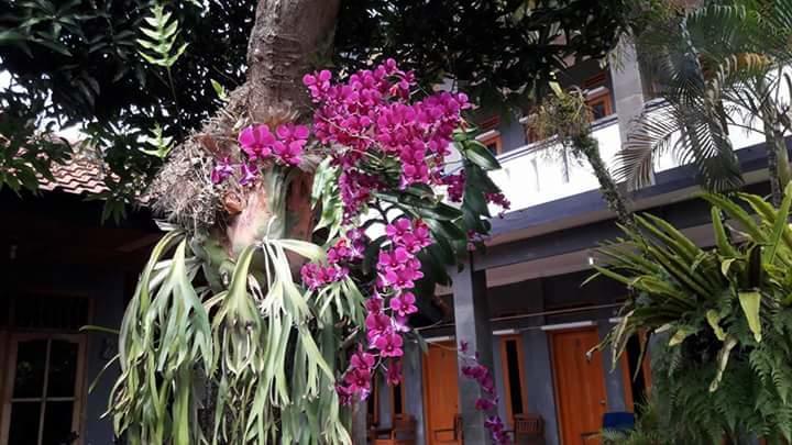 Bamboo House Hotel Pangandaran Buitenkant foto